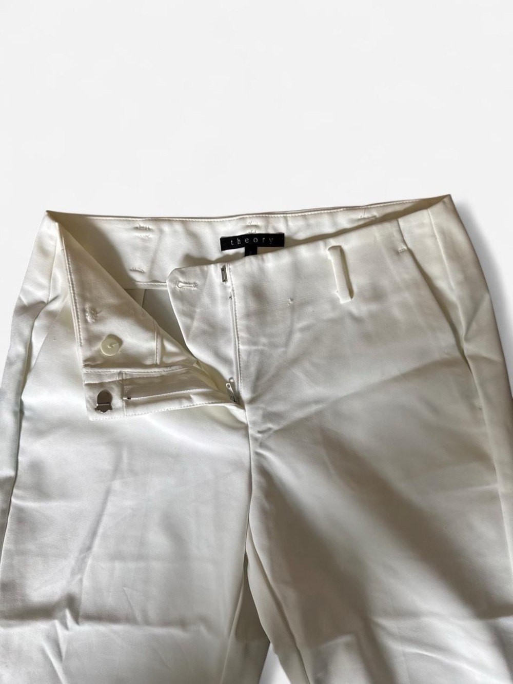 Theory work pants